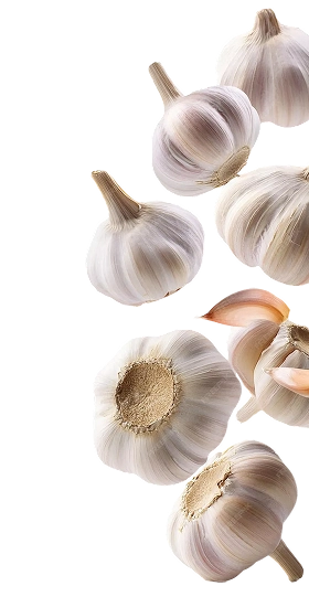 MENÜ